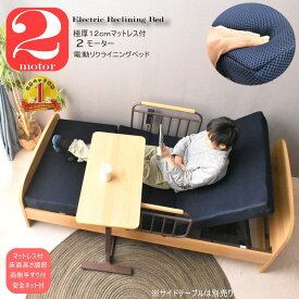 【SPセール終了まで2000円OFFクーポン配布中】 【送料無料】マットレス付き 電動ベッド 2モーター 介護用ベッド 2モーターベッド 電動リクライニングベッド 介護ベット 電動ベット 昇降 介護ベッド ベット 電動 BR NA glo 【サルサ】 glo-t40-2q-sarusa-2moto【玄関渡し】