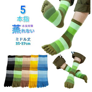 y15OFFN[{z@C Y 5g ȑf 5{w\bNX R hL z h~ \h ʋCQ Ɨp X|[c oR amp 25-27cm KtBbg LH