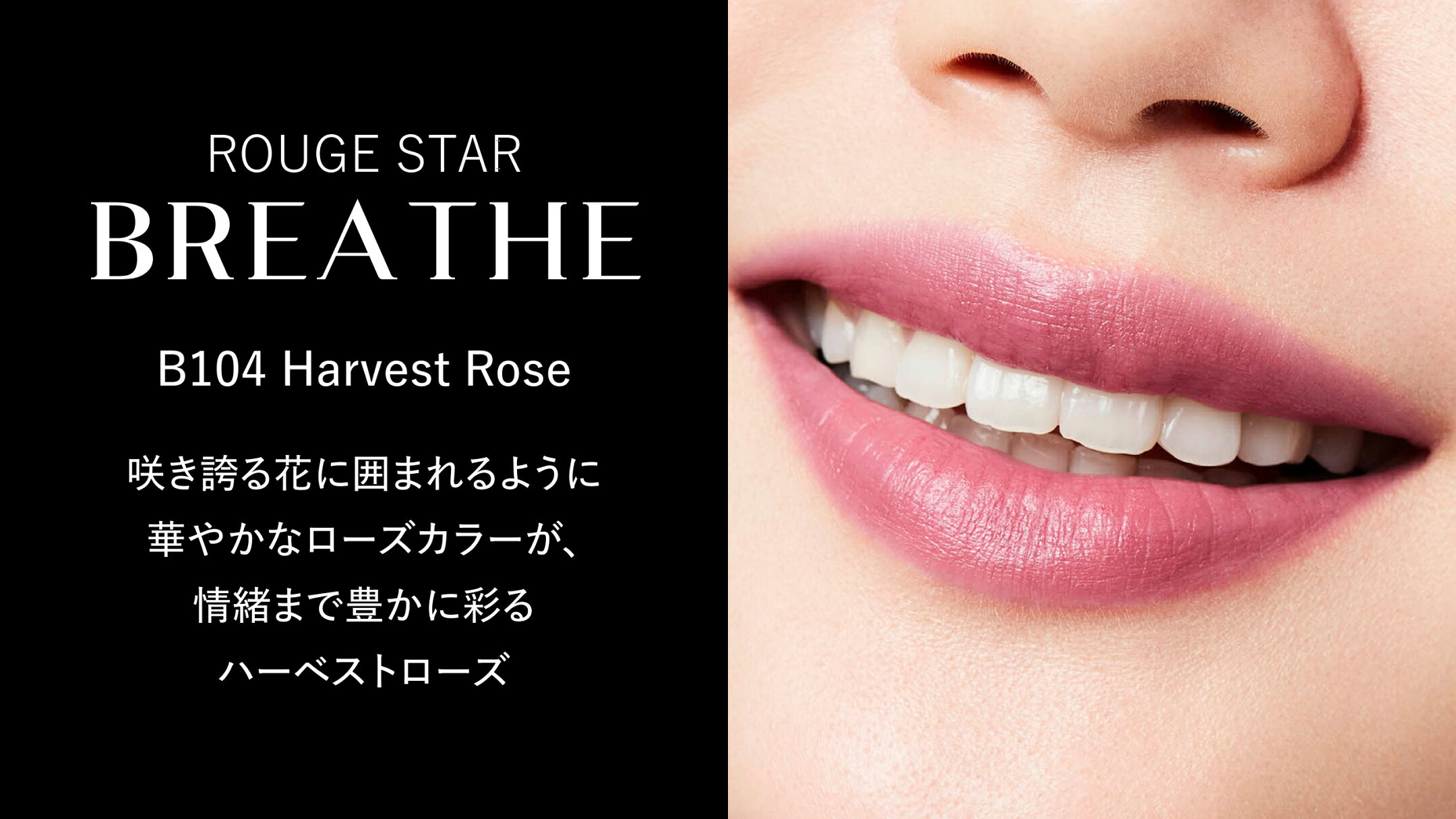 B104 Harvest Rose