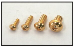 定形外 4947934084934新品番:811840-03024Kメッキボタンキャップボルト M10X30 1PC 810840-030 【CF-POSH(シーエフポッシュ)】