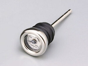 yDAYTONA(fCgi)z 62487 fBbvXeBbNv HDnp N[bL/zCgpl