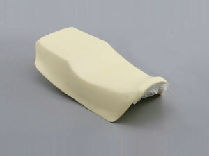 yDAYTONA(fCgi)z 73645 RIPMOV[g E^Pi GPZ900Rp