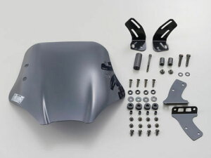 yDAYTONA(fCgi)z 79791 EChV[hSS ԎʃLbg VOiXX p