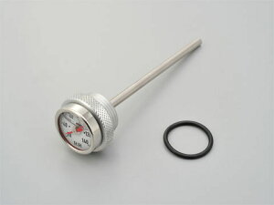 yDAYTONA(fCgi)z 93260 KEDO RRfBbvXeBbNv zCgpl SR400/400FI/500