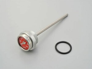 yDAYTONA(fCgi)z 93262 KEDO RRfBbvXeBbNv bhpl SR400/400FI/500