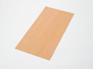 yDAYTONA(fCgi)z 96241 x[XKXPbgV[g 250×500mm i0.5mmj