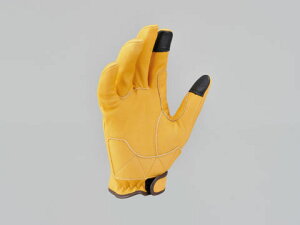 yDAYTONA(fCgi)z 96819 HBG-037DKJbgV[g L