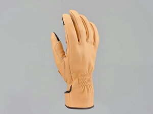 yDAYTONA(fCgi)z 96842 HBG-039DKJbgO i`