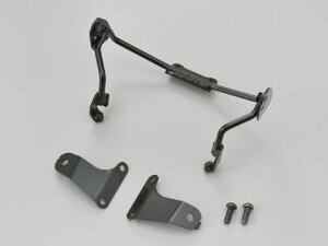 yDAYTONA(fCgi)z 17494 XN[tXe[