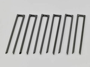 yDAYTONA(fCgi)z y4909449595657z 31383 MCnEXpŒAJ[ U