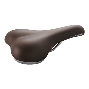 CYCLE PRO@TCNv y4965685346736z CP-SD3110 RtH[gGELTh uE