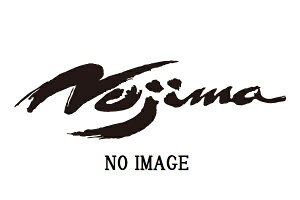 NOJIMA mW} y4548664939930z TPTSX634HW-R G}Xe[pCv DLC TWIN Ninja1000 11-19