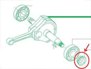 |Xg XyVp[c^PK y4514162187319z SPi^PKj@ ^C~OXvPbg 14T L[