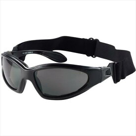 RIDEZ　ライズ 【4527625099845】 RIDEZ HAWK SUNGLASS SMOKE RS-10065 ホークサングラス スモーク