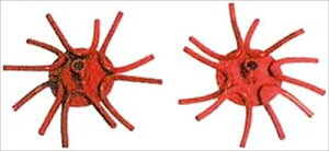 Honda(z_) k@ ܂ F220 XvO[^[1^ 10872