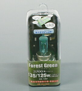 ABSOLUTE Au\[g y4538792530246z HB37HS1 nQou tHXg O[ HS1 35/35W 3700K@oCN