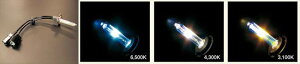 ABSOLUTE �A�u�\�����[�g �y4538792555416�z HR1H11R6 HID H11/6500K�o���u�@ HID ���y�A�o���u ���[�^�C�v