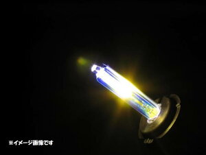 ABSOLUTE Au\[g y4538792330730z HR1HB3RG HID HB3/GLDou@yAou [^Cv