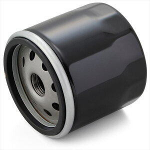 fCgi y4909449622407z 10@fCgi(Daytona) oCNp vCX ICtB^[ hDJeBn X^[400(00-08)  35021 ʂNo:F-23