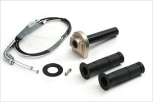 ACTIVE(�A�N�e�B�u) �y4538792660172�z 1068597 �X���b�g��KIT [�z���_�[:TYPE-1 T-GLD] �����36 ER-6N 09-11