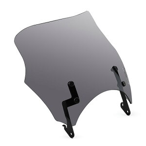 y4521407271436z Q5KDAYY01014 uXgoA[Lbg X[N XSR125 }n(YAMAHA)