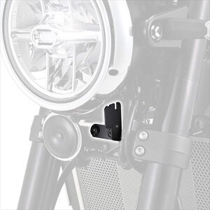 DAYTONA(fCgi) y4909449633908z 39595 hRtLbg Z900RS