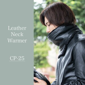 y4524486098802z CP-25 U[lbNEH[}[@ubN fOi[(DEGNER)