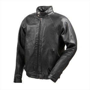 fOi[(DEGNER) 24SJ-5 bVU[WPbg@ubN