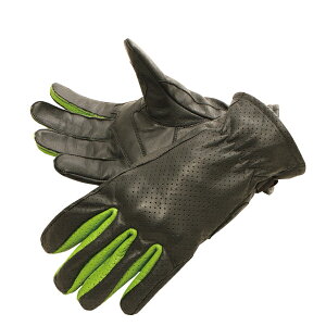 y4524486066207z TG-30M bVU[O[u@CO[@STCY fOi[(DEGNER)