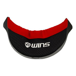 WINS(ECYWp) y4560385767708z A-FORCE RSp lbNJ[e 