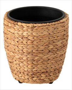 J Â܂ y4985155237920z v^[  AWA ϗtA Vv EH[^[qVX G CeA  uE F ҂  ~^ 7p