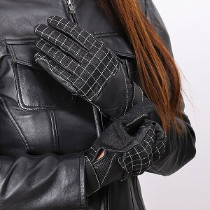 yfOi[(DEGNER)z FRTG-55 U[fjRrfB[XO[u@ubN/ubNAlCr[/uE@SEMEL