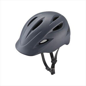 uaXg y4977716079445z uaXg KURMS(NX) CH-BSM lCr[