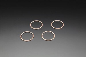 |Xg h~RNV y4573280170610z 30061 [t@[1100 GL][XgKXPbg