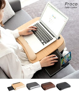 y[J[iz MIYATAKE {쏊 y4937047602798z CN-80T@ e[uNbV ubN PracoivRjG@}EXg[