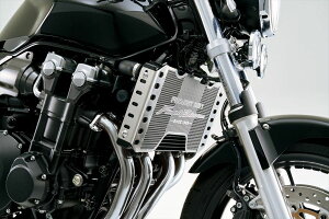 TSR 0SS-ZP-S54D1SV0 yʎdlz WG^[RAK[h Final Edition Vo[ CB1300 SUPER FOUR /SUPER BOL D'OR Final Edition JX^}CY