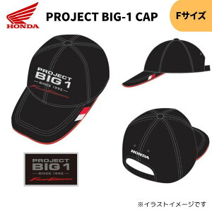 z_(HONDA) 0SYEP-78A-KF PROJECT BIG-1 CAP Lbv CB1300 Final Edition Xq hJ