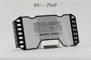 TSR 0SS-ZP-S54F1BK0 ���W�G�^�[�R�A�K�[�h TYPE PROJECT BIG-1 �u���b�N CB1300 SUPER FOUR /SUPER BOL D'OR