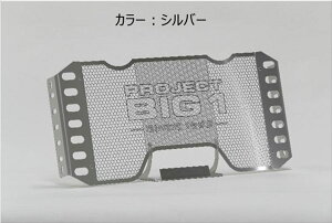 TSR 0SS-ZP-S54F1SV0 ���W�G�^�[�R�A�K�[�h TYPE PROJECT BIG-1 �V���o�[ CB1300 SUPER FOUR /SUPER BOL D'OR