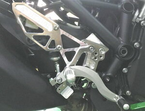 BEET(r[g) y4582346465447z nCp[oN Œ莮 SLV Ninja H2SX ^SX SE 18