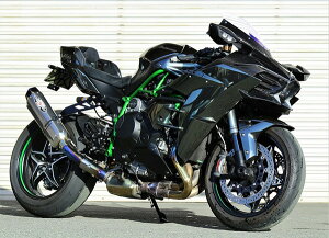 BEET(ビート) 【4582346469360】 ナサート-Evo TYPE2 S/O ブルーTI Ninja H2 CARBON 19-