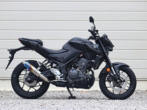 WR'S(_uA[Y ) y4582734413180z YAMAHA 2025- YZF-R25EMT-25 S.O.VV[g`^I[oĂF^Cv XbvI }t[ JMCAFؕi