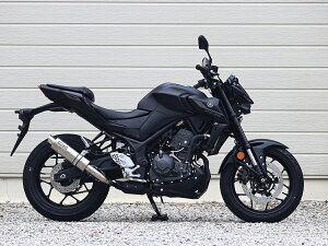 WR'S(_uA[Y ) y4582734413173z YAMAHA 2025- YZF-R25EMT-25 S.O.VV[g`^I[o\bh^Cv XbvI }t[ JMCAFؕi