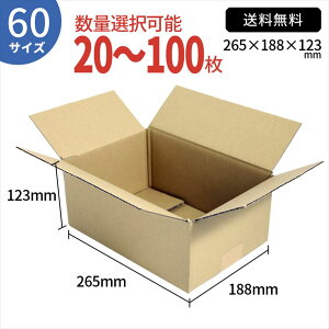 TEITO �_���{�[�� �i�{�[�� ��z 60�T�C�Y (265×188×123mm) �Z�b�g �����z���_���{�[���� �i�{�[���� ���[ ���� ���� ��z 60 EMS ��z�p �{�b�N�X �����J�� �t���} �ʔ� �l�ʔ� ���t�I�N ��� �d��