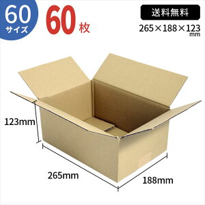 TEITO �_���{�[�� �i�{�[�� ��z 60�T�C�Y (265×188×123mm) 60�� �Z�b�g �����z���_���{�[���� �i�{�[���� ���[ ���� ���� ��z 60 EMS ��z�p �{�b�N�X �����J�� �t���} �ʔ� �l�ʔ� ���t�I�N ��� 