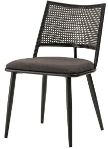 J Â܂ y4985155249459z `FA _[NO[ [J[i LZs