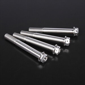 W[^(ZETA) y4547836009303z ZETA Z-`^ C}Eg{gZbg M10x75mm P1.25 w^H 4pcs