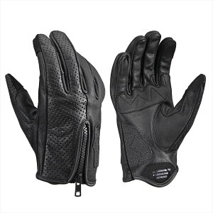 DAYTONA(fCgi) y4909449657997z 61732 DG-020 p[VtBbg U[O[u ubN LTCY oCN O[u v(Mv) ~ďHt X}zΉ t@Xi[t