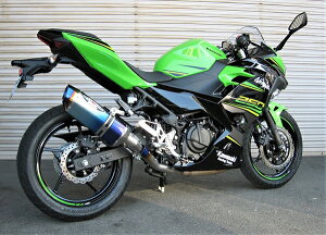 BEET(r[g) y4582346464808z iT[g-Evo TYPE2 S^O u[TI NINJA250 18