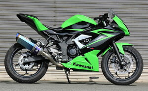 BEET(r[g) y4582346461999z iT[gR-Evo TYPE2 NATI Ninja250SL ST250Fp[VO}t[